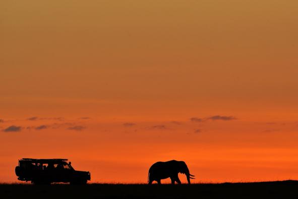 safari-photo-afrique-24