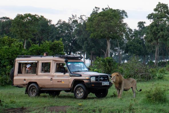 véhicule masai mara