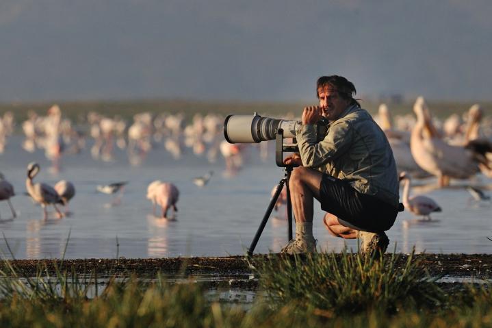 Photographie  animalière... Les 10 commandements !